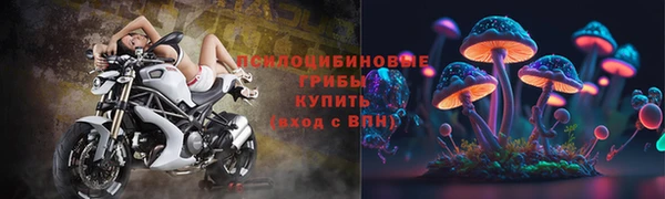 МДПВ Алексеевка