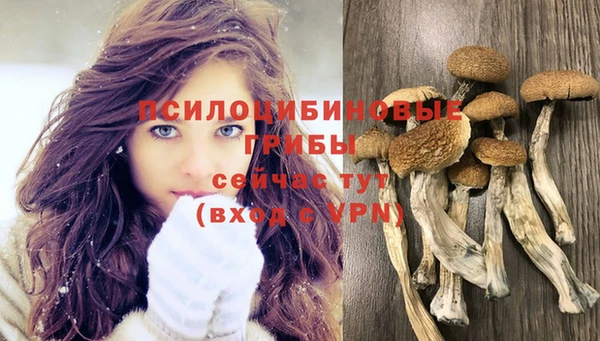 МДПВ Алексеевка