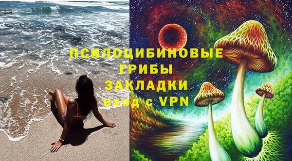 МДПВ Алексеевка