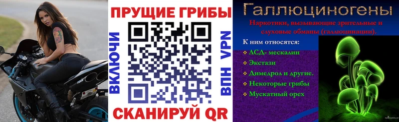 Галлюциногенные грибы прущие грибы  Алушта 