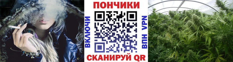 Бошки марихуана AK-47  купить наркотик  Алушта 